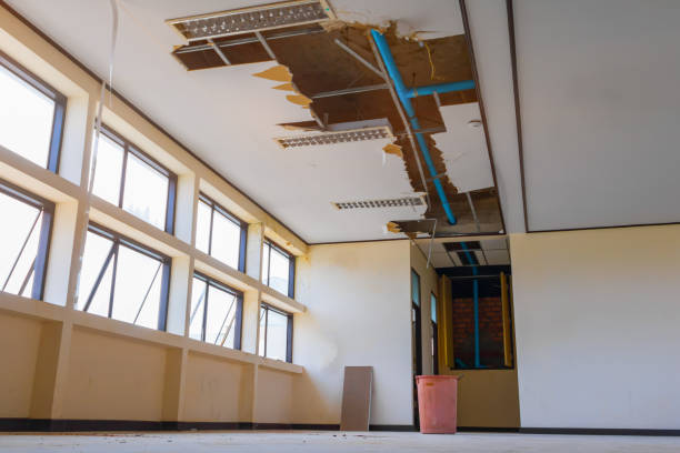 Best Water damage restoration near me  in Rosenhayn, NJ