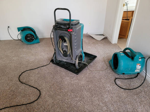 Best 24/7 water damage repair  in Rosenhayn, NJ