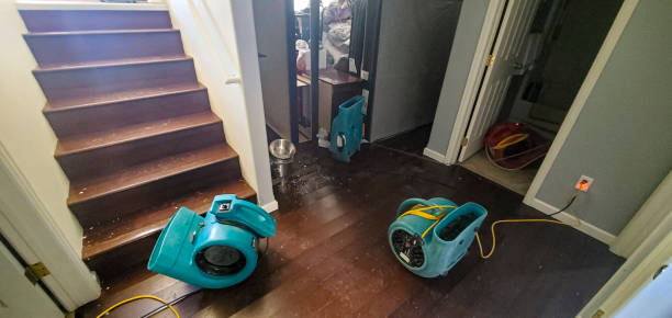 Best 24-hour water damage restoration  in Rosenhayn, NJ