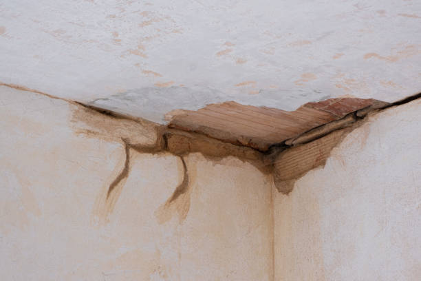 Carpet water damage restoration in NJ