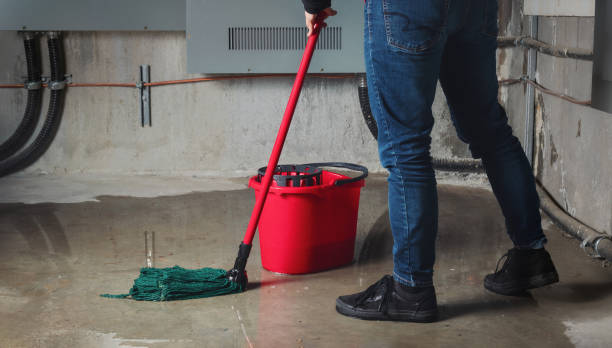 Best Water damage cleanup near me  in Rosenhayn, NJ
