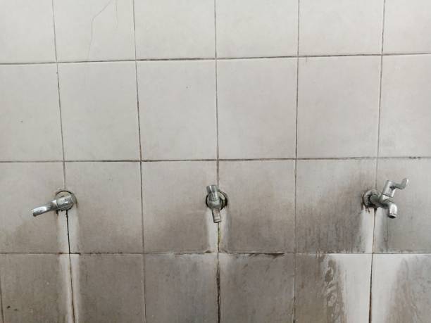 Best Carpet water damage restoration  in Rosenhayn, NJ