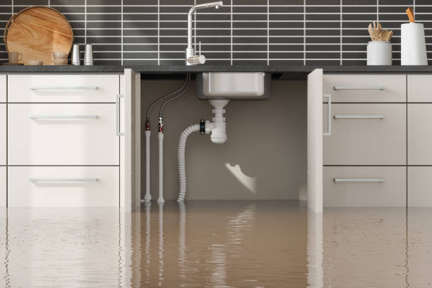 Best Flood damage cleanup  in Rosenhayn, NJ