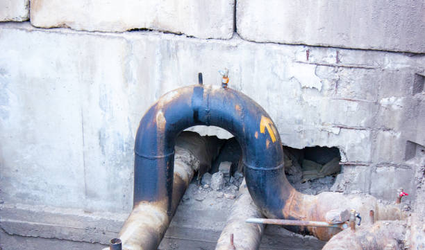 Best Mold removal after water damage  in Rosenhayn, NJ